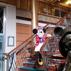 Meet your Posher, Tanita